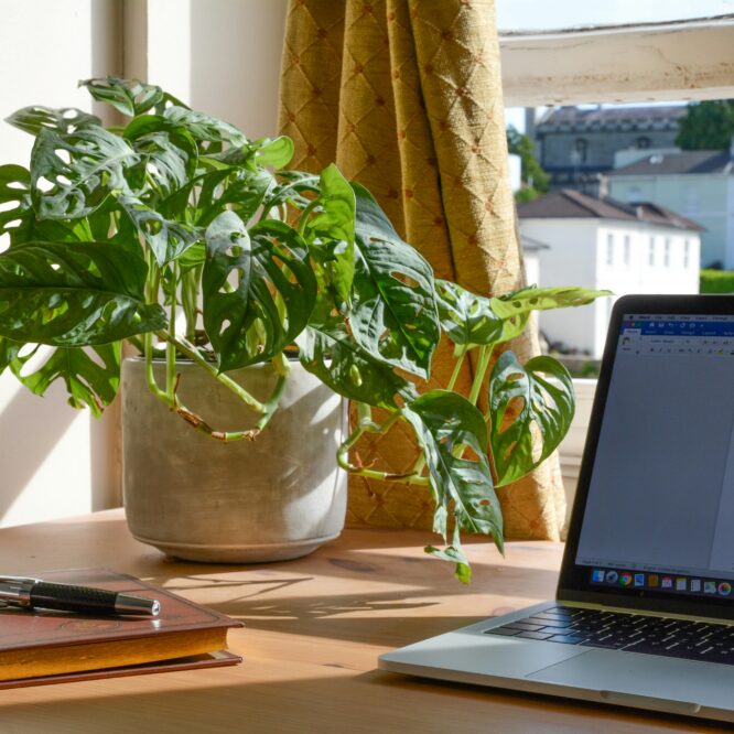 Kristider? Fem skäl att anlita en frilansskribent