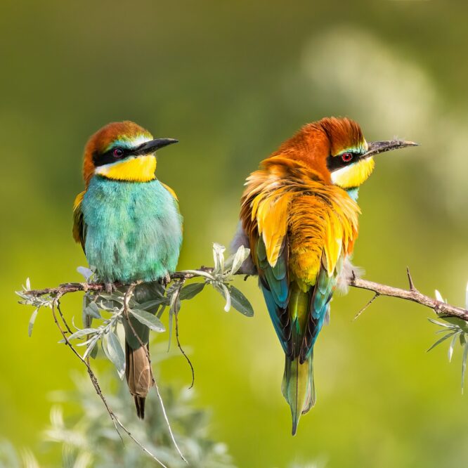 Är bloggen död – eller har vi bara tröttnat på datadrivet och ”trauma-dumping”?